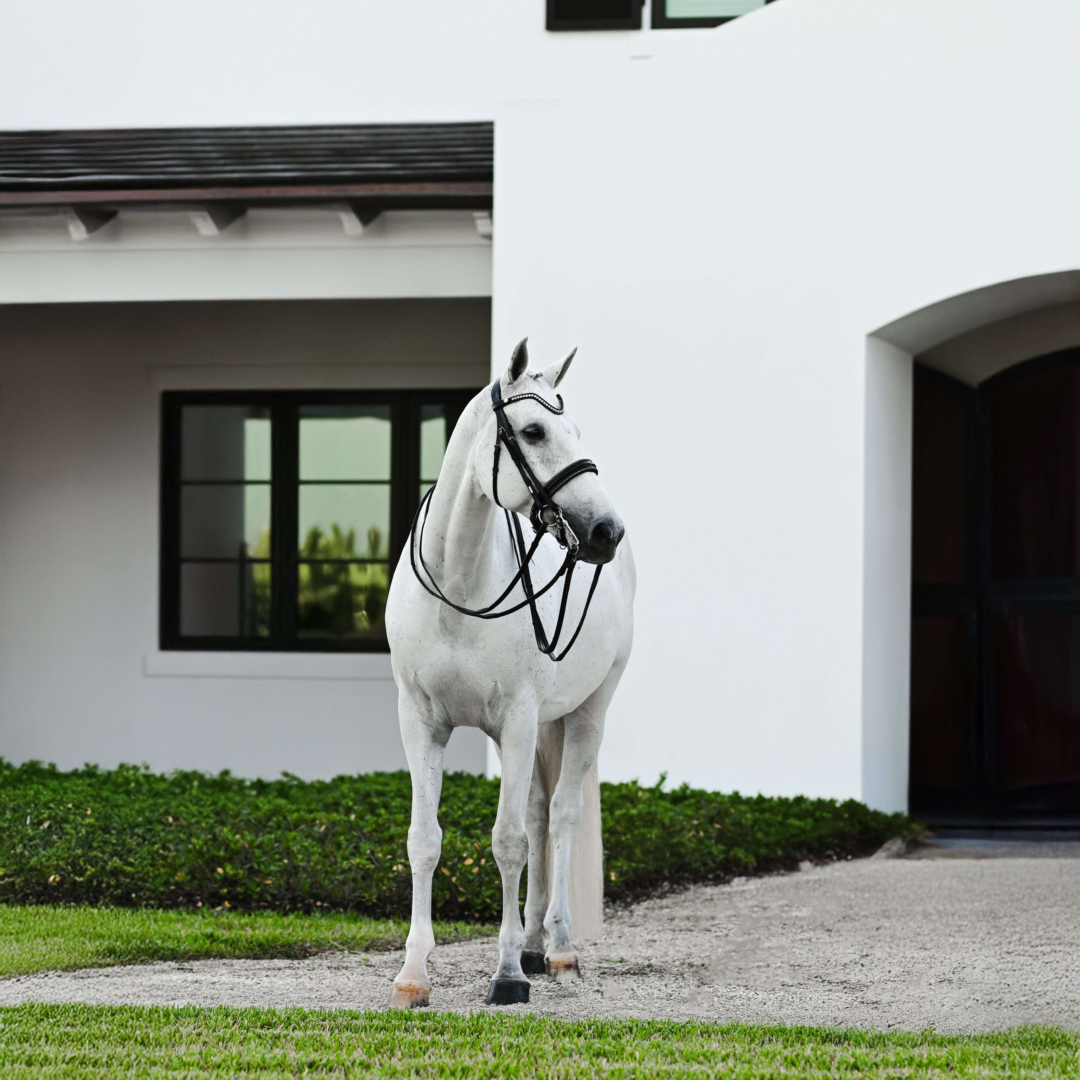 Saphira Bridle (double) - Lumiere Equestrian
