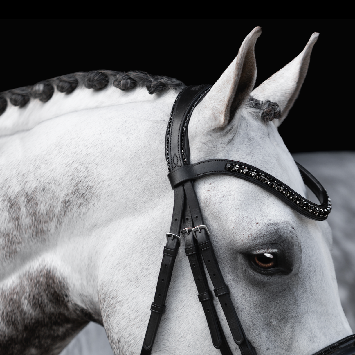 'Arcadia' Luxury Leather Bridle (hanoverian)