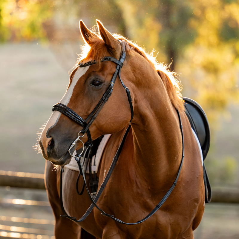 'Arcadia' Luxury Leather Bridle (Cavesson)