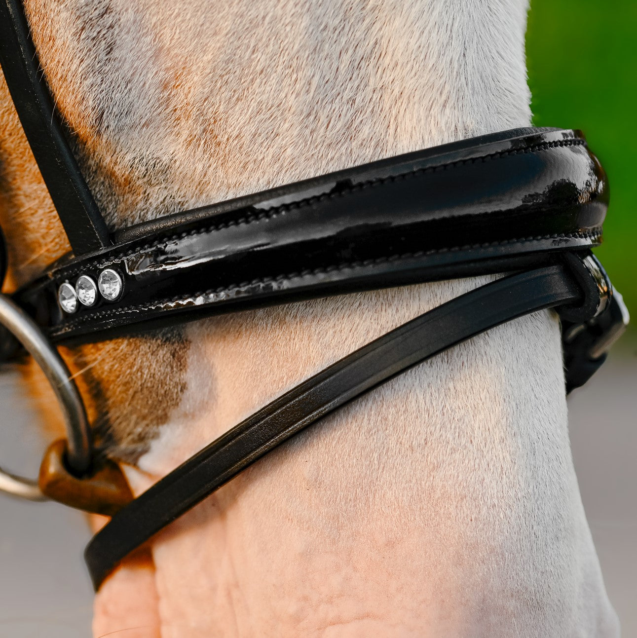 Unicorn bridle (Lumi Pony) - Lumiere Equestrian