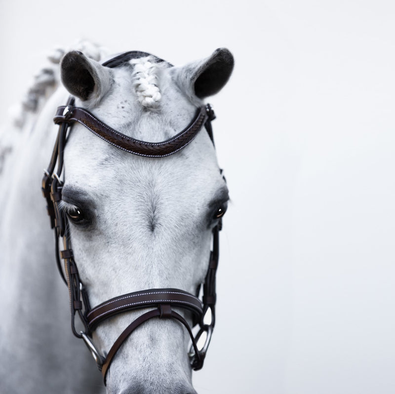 'Delaney' leather bridle (Lumi Pony) Clearance