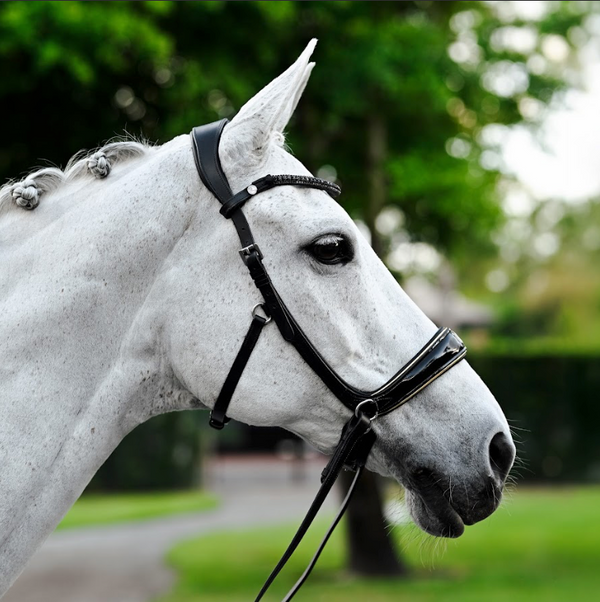 Skyla Bitless Bridle