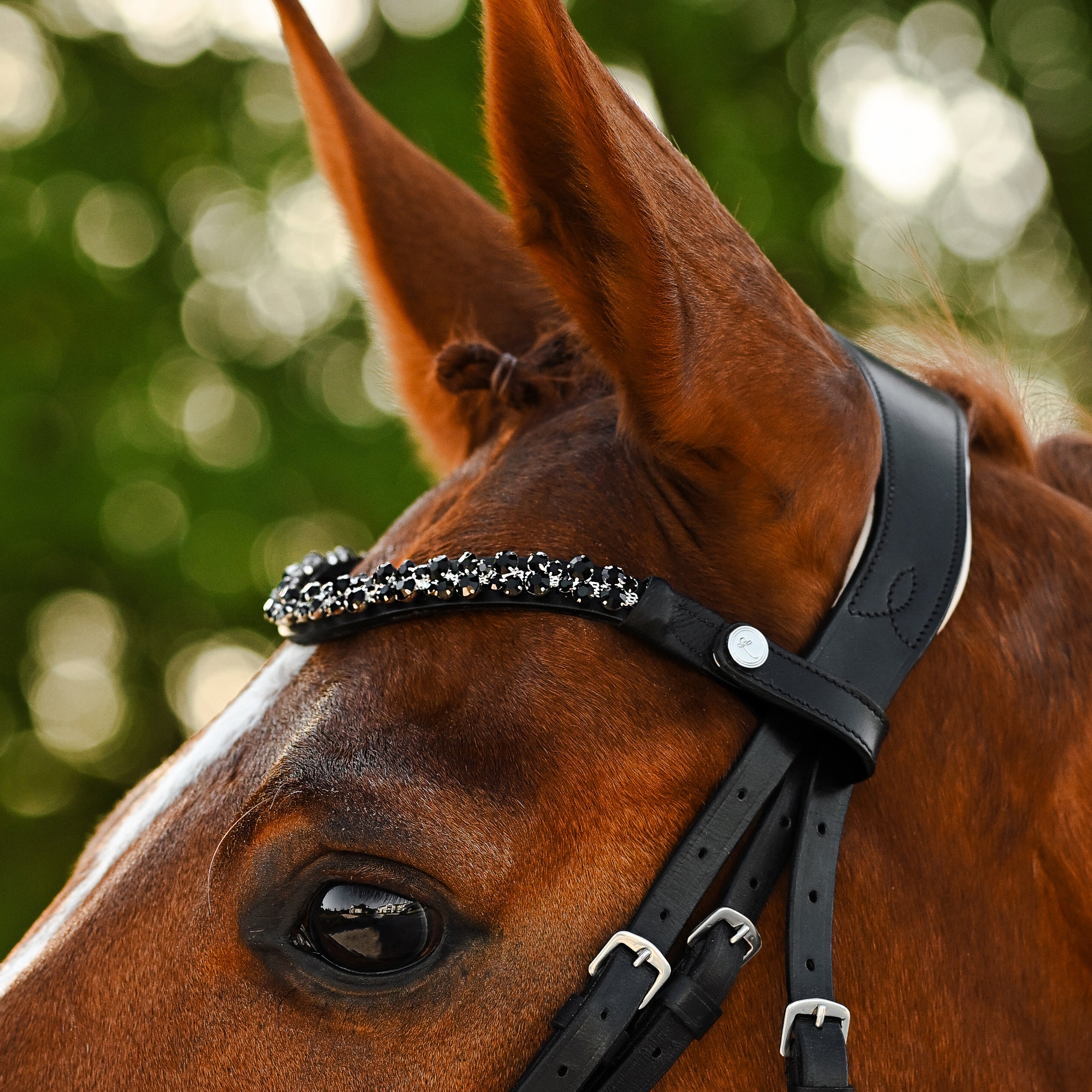 Sibella Bridle (hanoverian) - Lumiere Equestrian