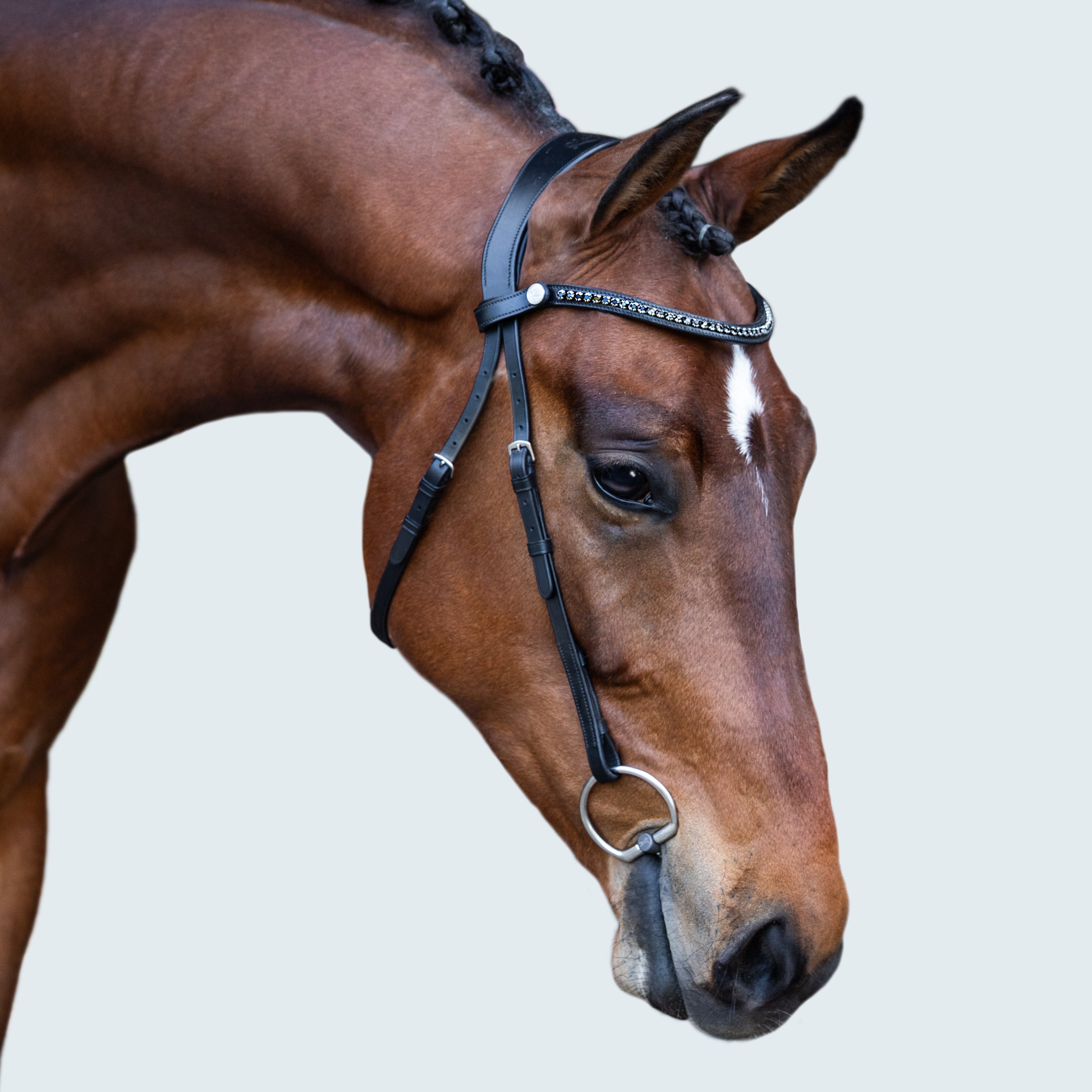 Sienna Nosebandless Bridle - Lumiere Equestrian
