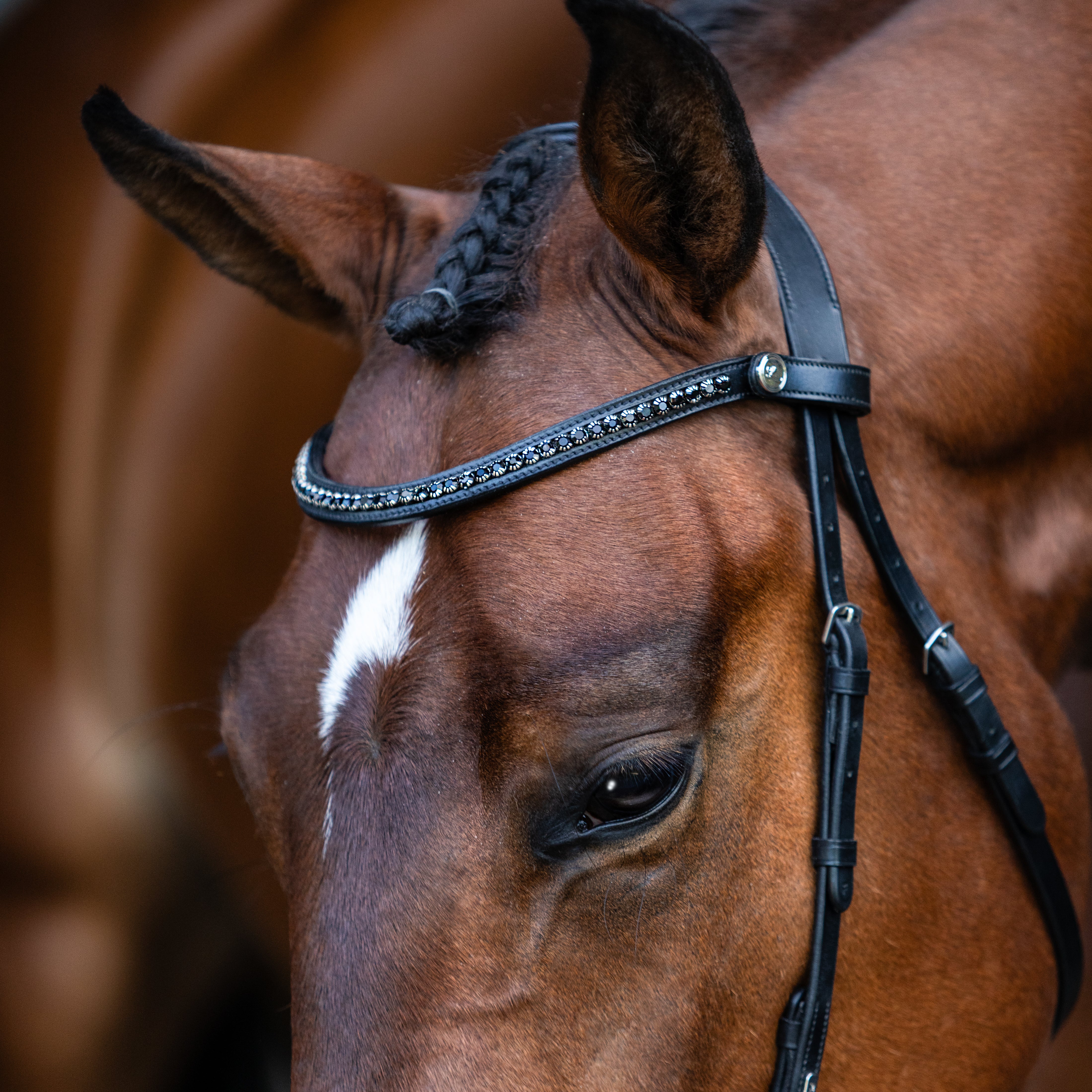 Sienna Nosebandless Bridle - Lumiere Equestrian