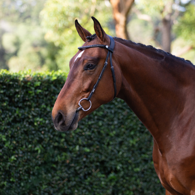Sienna Nosebandless Bridle - Lumiere Equestrian