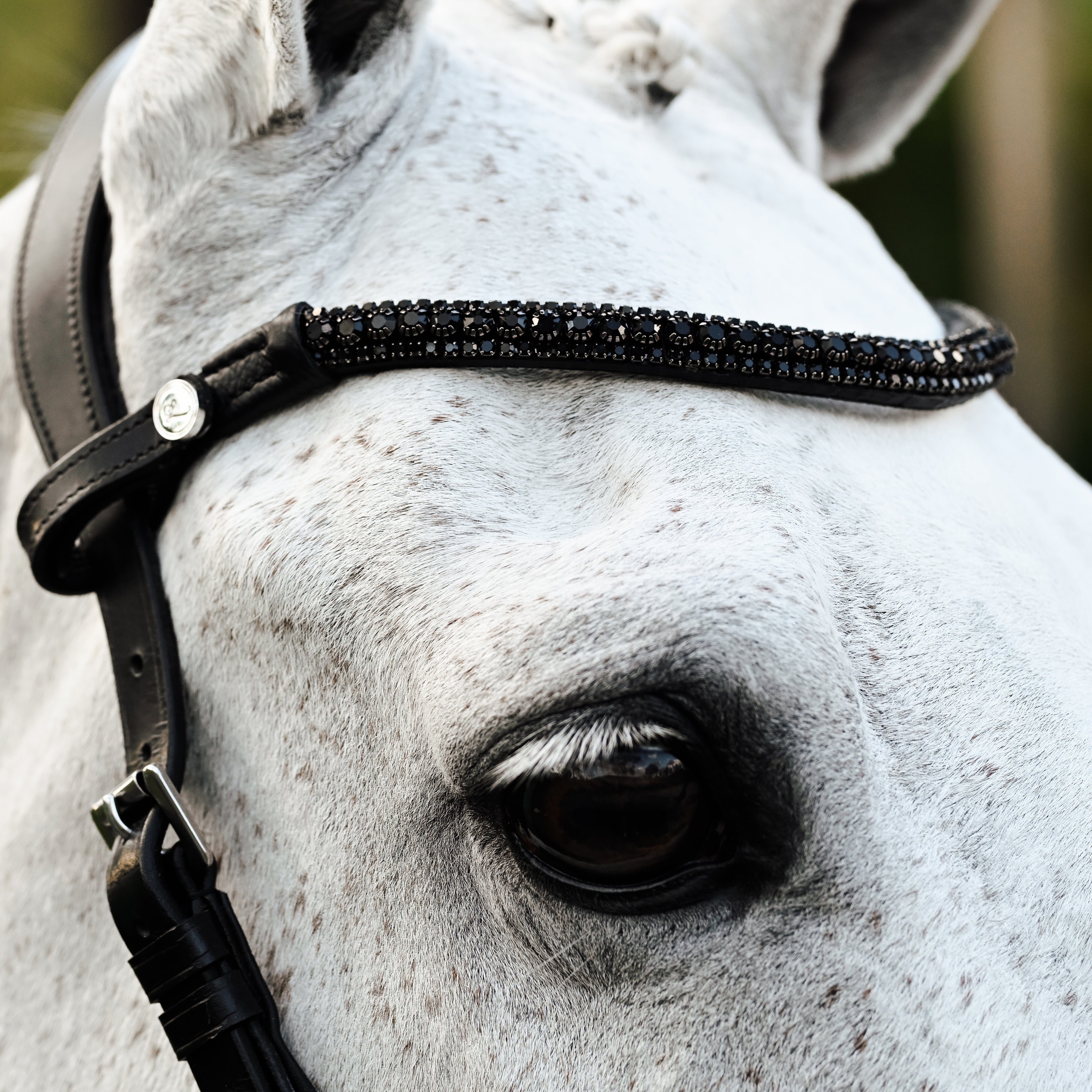 Skyla Bitless Bridle - Lumiere Equestrian