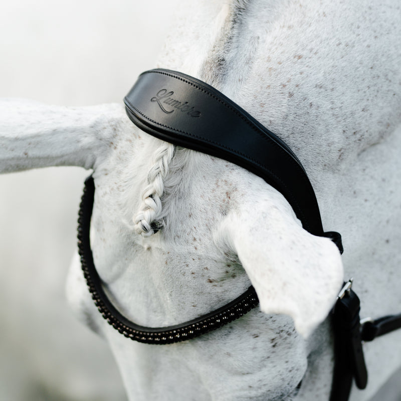 Skyla Bitless Bridle - Lumiere Equestrian