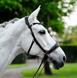 Skyla Bitless Bridle - Lumiere Equestrian