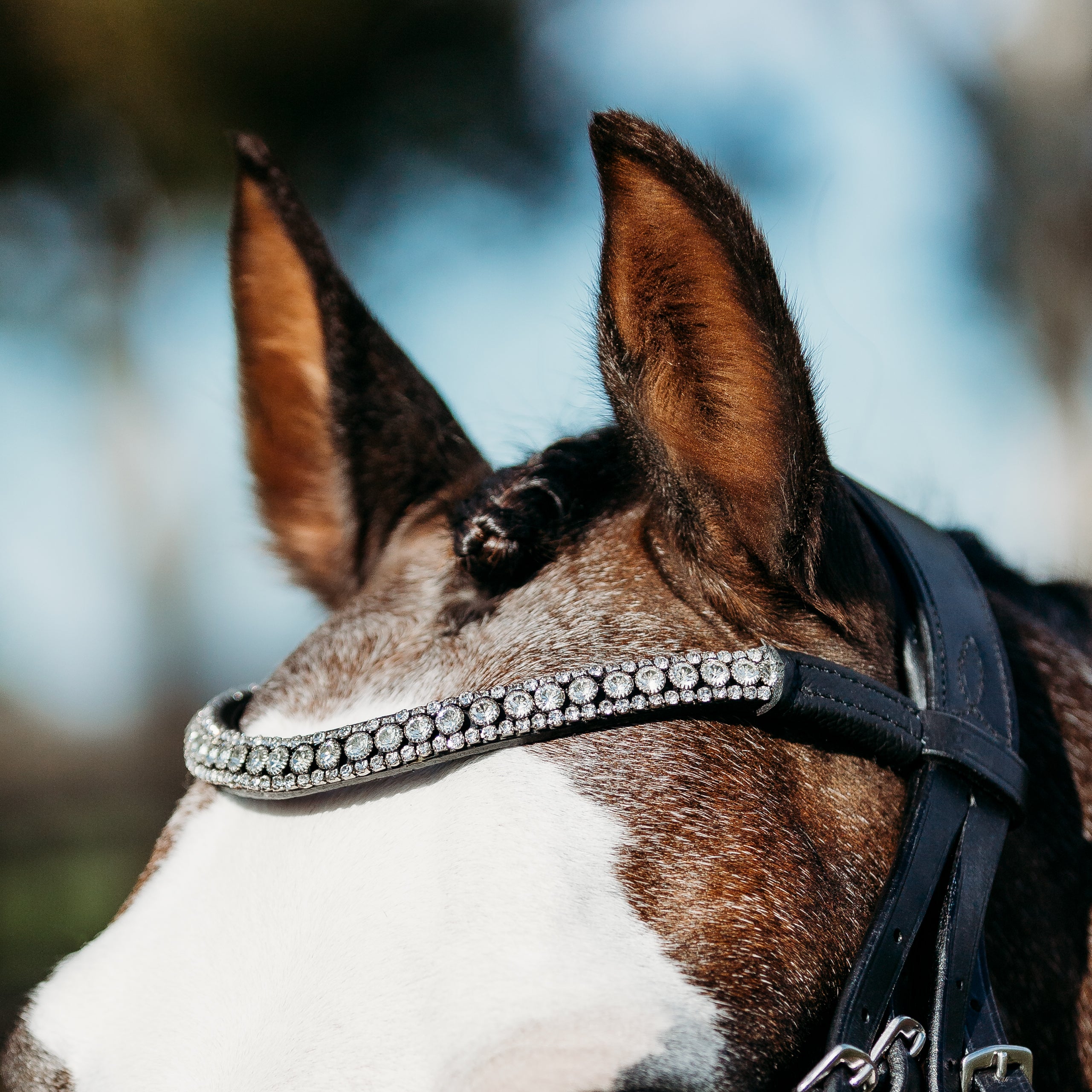 Solitaire crystal browband (Lumi Pony) - Lumiere Equestrian