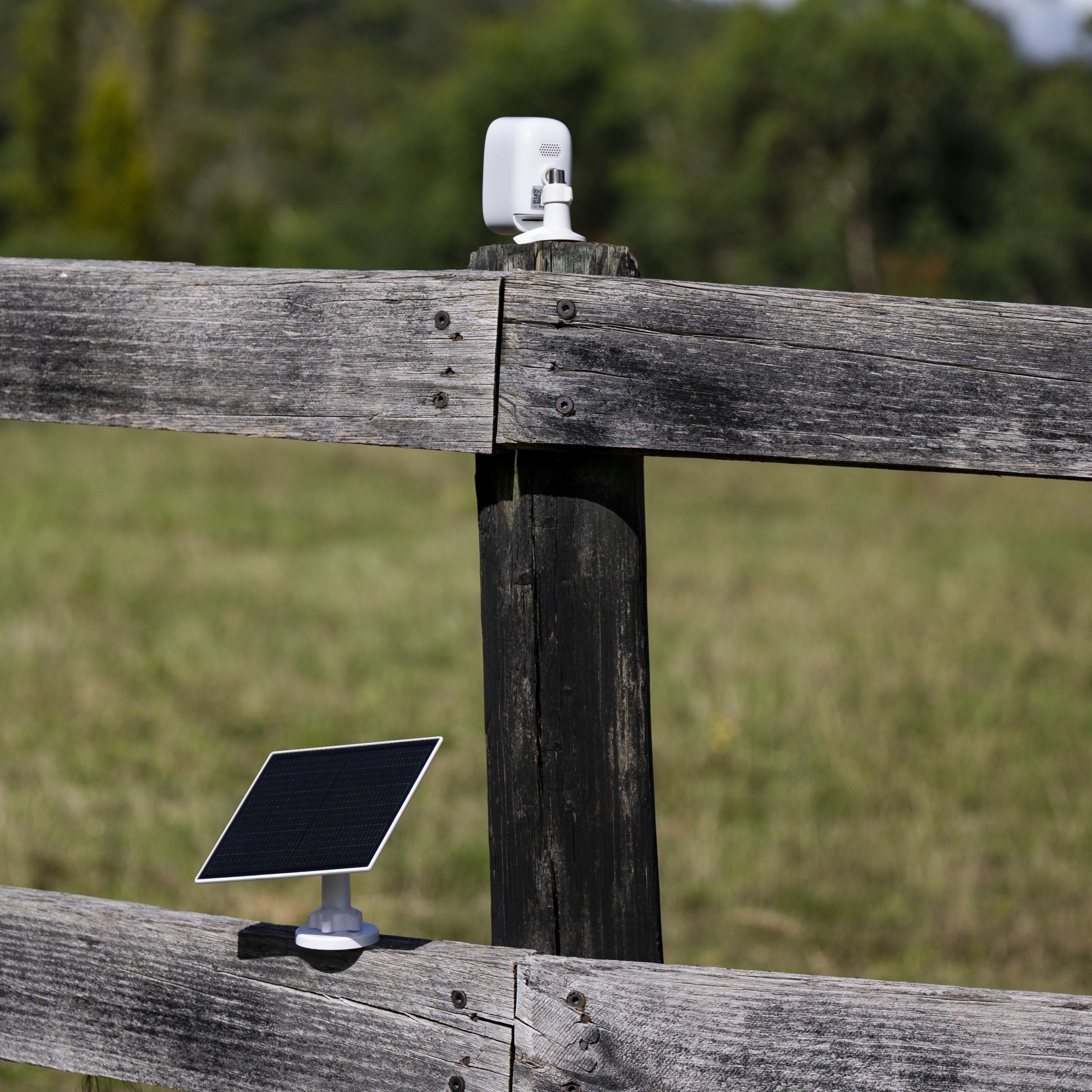 Equine Eye Vision - Lumiere Equestrian