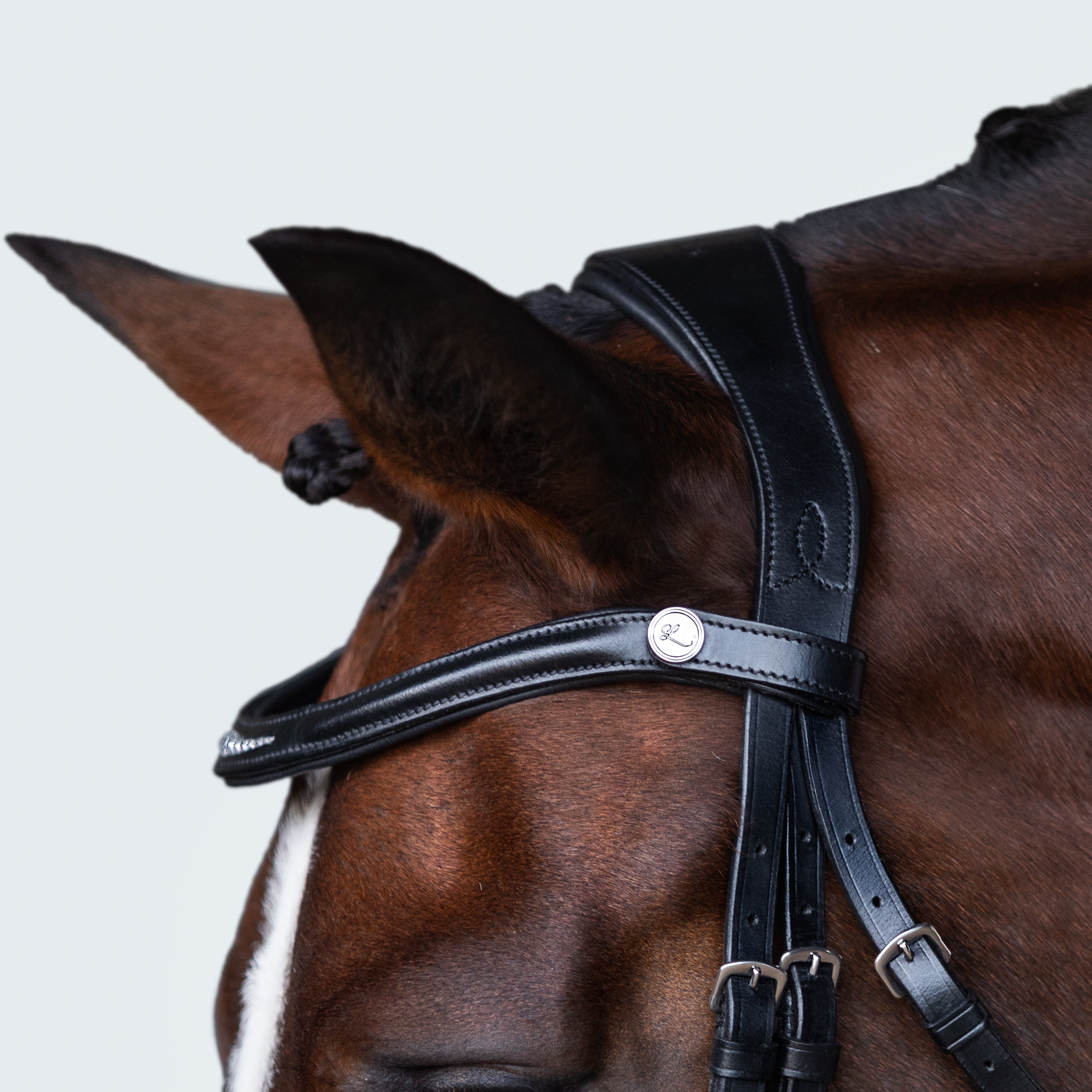 Stella Bridle - Lumiere Equestrian