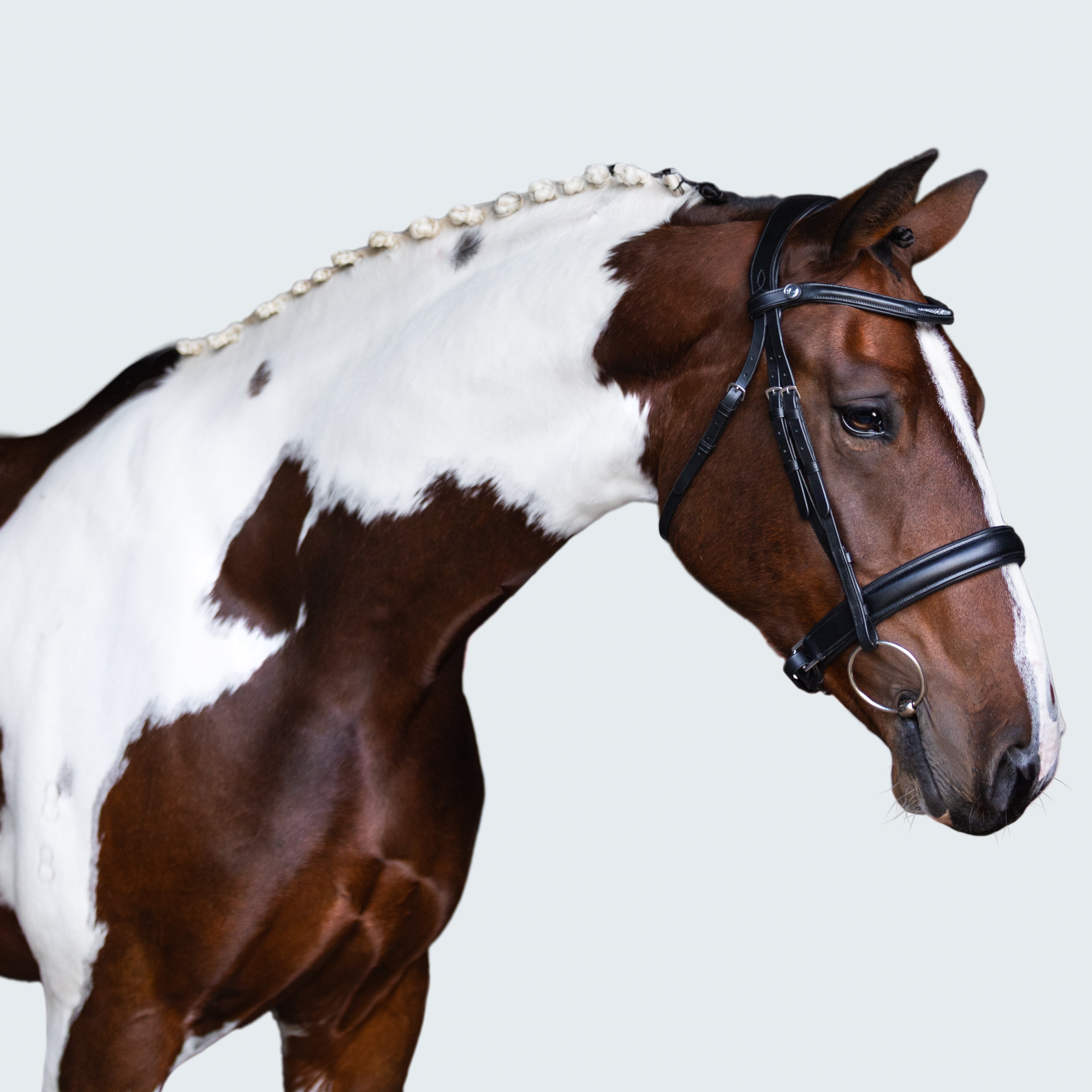 Stella Bridle - Lumiere Equestrian