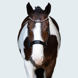 'Mistletoe'  Browband