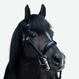 'Madeline' Luxury Leather Bridle - (Double) (Lumi Pony)