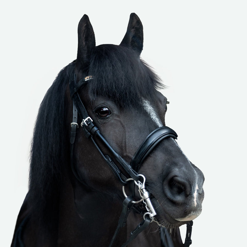 'Madeline' Luxury Leather Bridle - (Double) (Lumi Pony)