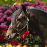 'Bella' leather halter