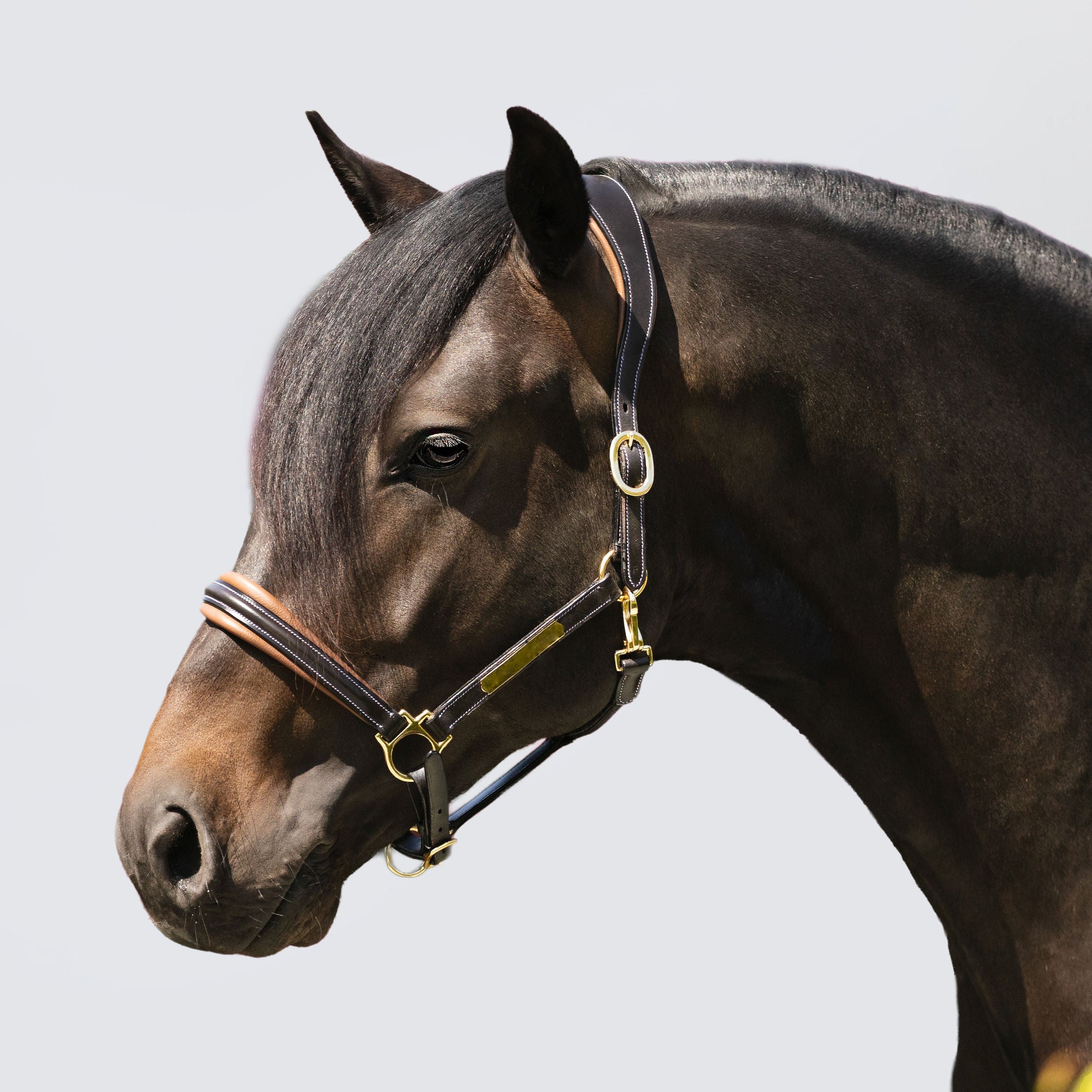 'Bella' leather halter