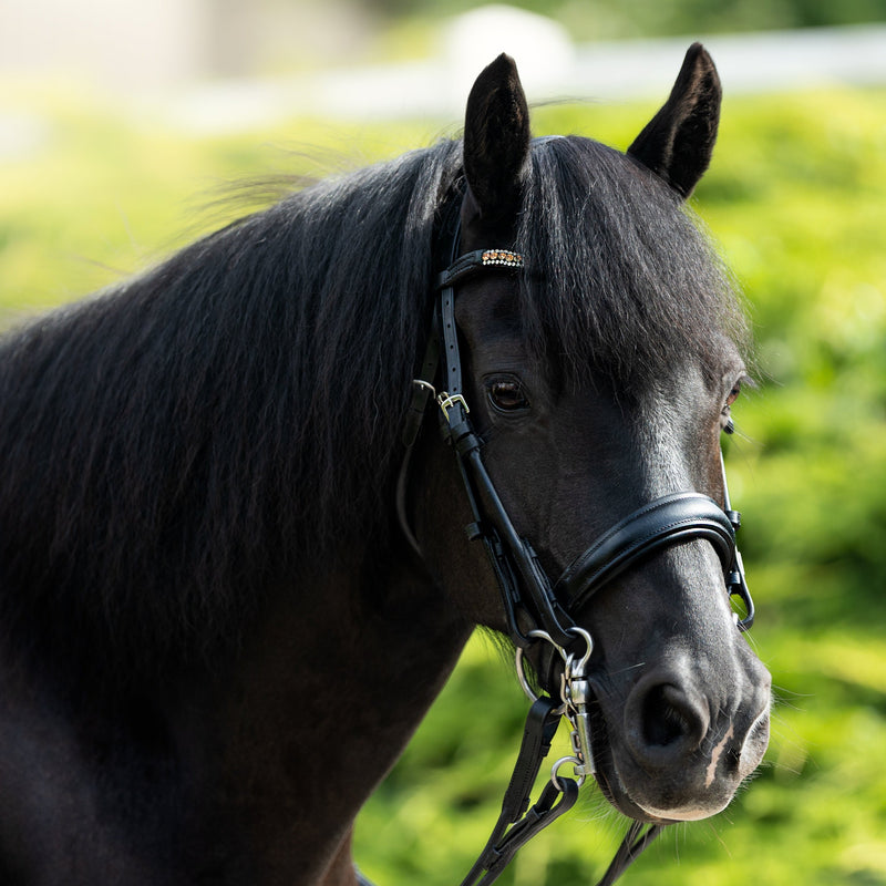 'Madeline' Luxury Leather Bridle - (Double) (Lumi Pony)