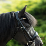 'Madeline' Luxury Leather Bridle - (Double) (Lumi Pony)