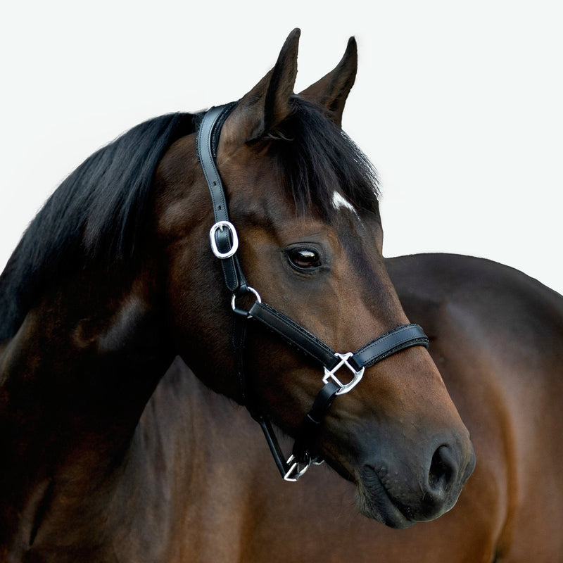 'Vegas' glitter leather halter
