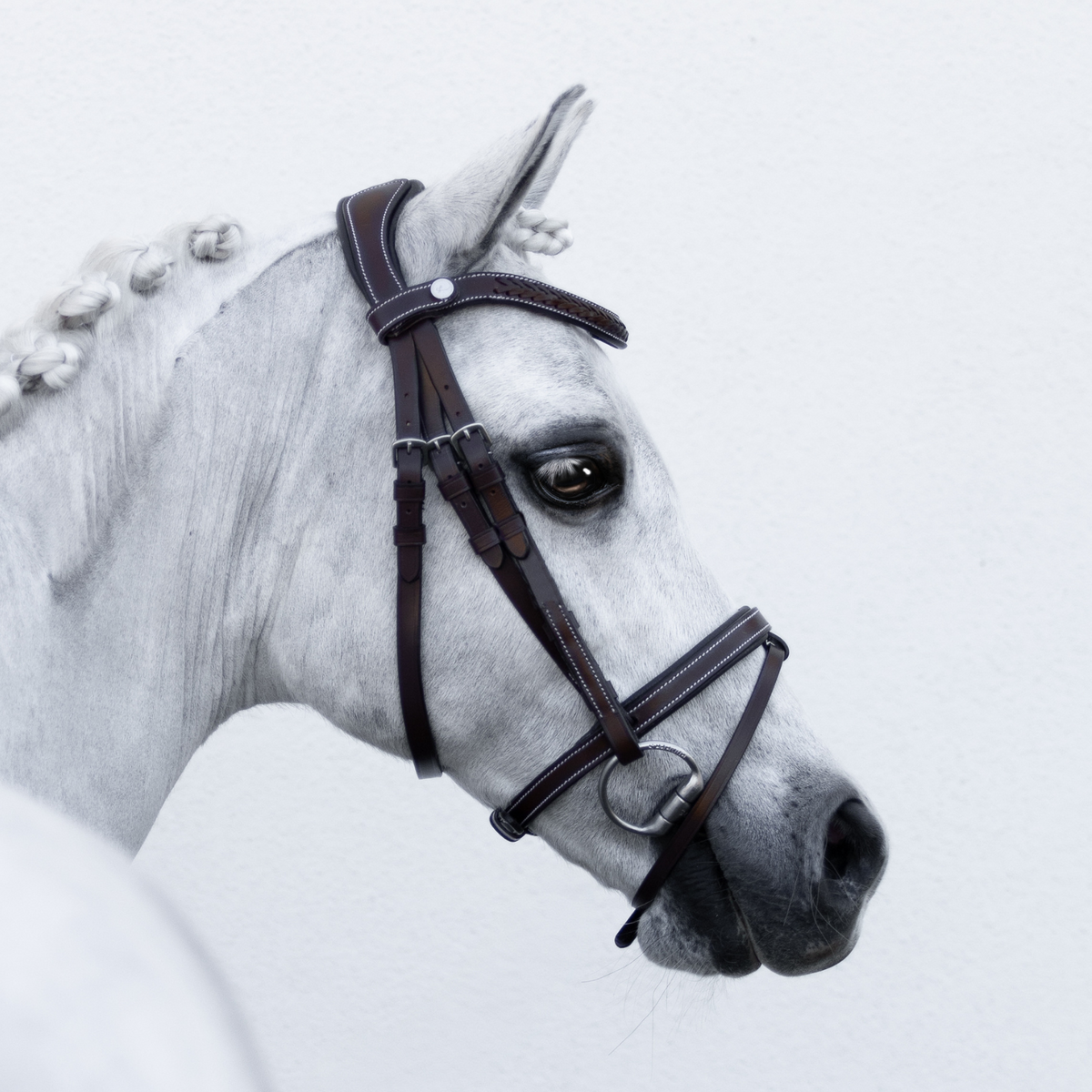 Bride De Cheval Premium Cuir Marron Avec Rênes – Challenger (neuve)