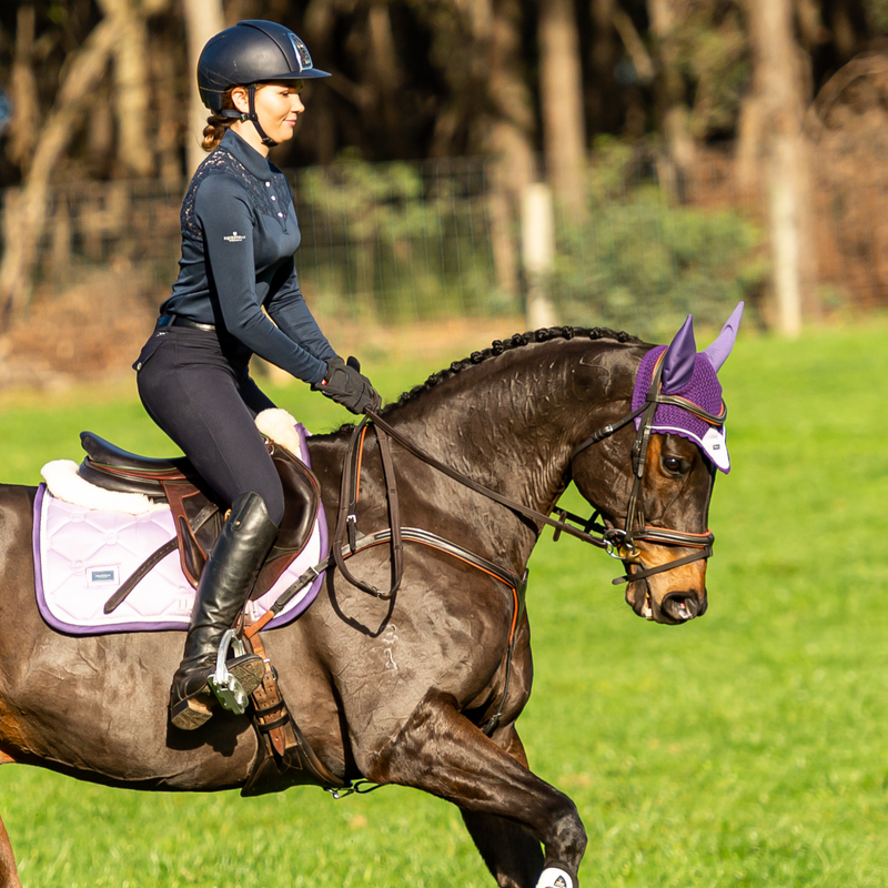 'Anka' breastplate - black & brown - Lumiere Equestrian