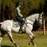 'Anka' breastplate - black & brown - Lumiere Equestrian