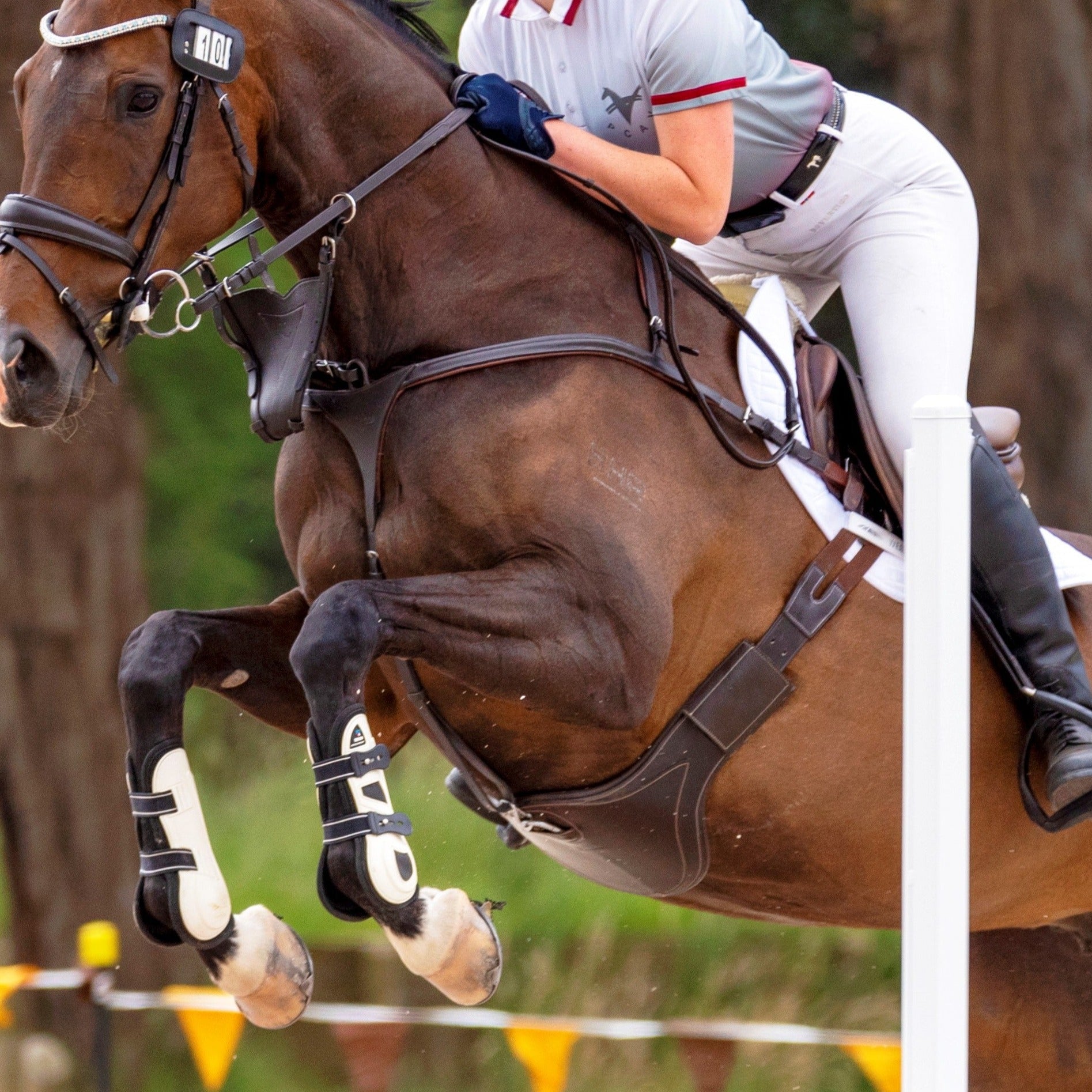 Leather Martingale Bib