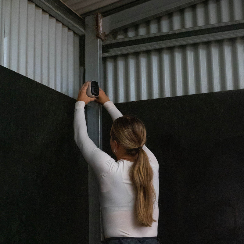 Equine Eye Vision