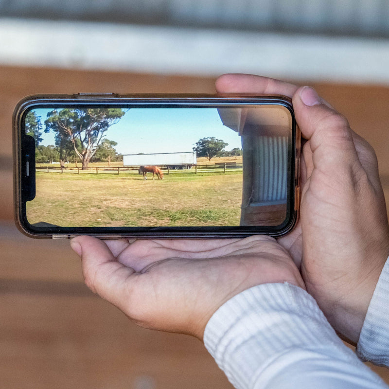 Equine Eye 'at home' (paddock / stable camera) - AU / NZ