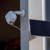 Equine Eye 'at home' (paddock / stable camera) - Europe