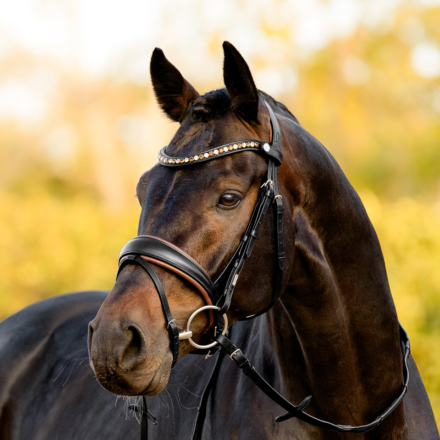 Pippa bridle