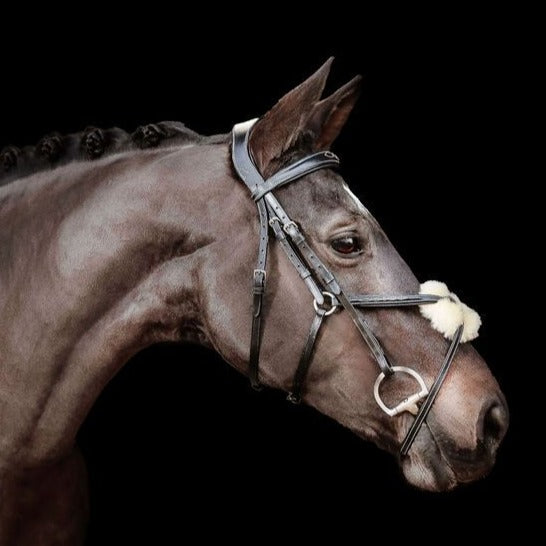 'Ava' Italian leather grackle bridle - black & brown - Lumiere Equestrian