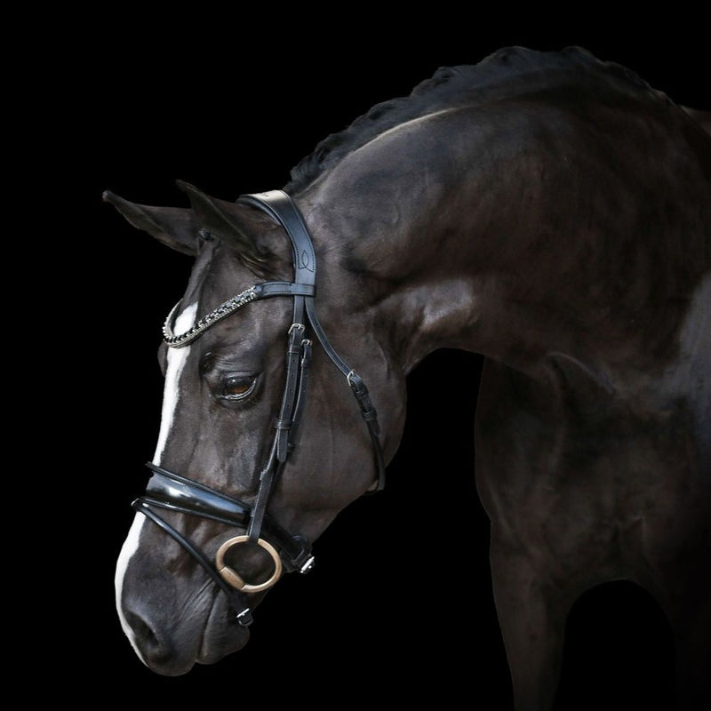 'Audrey' black Italian leather bridle