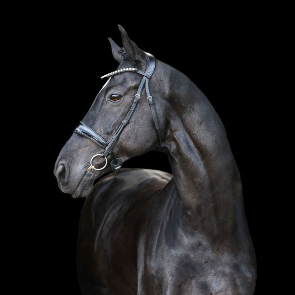 black Italian leather bridle