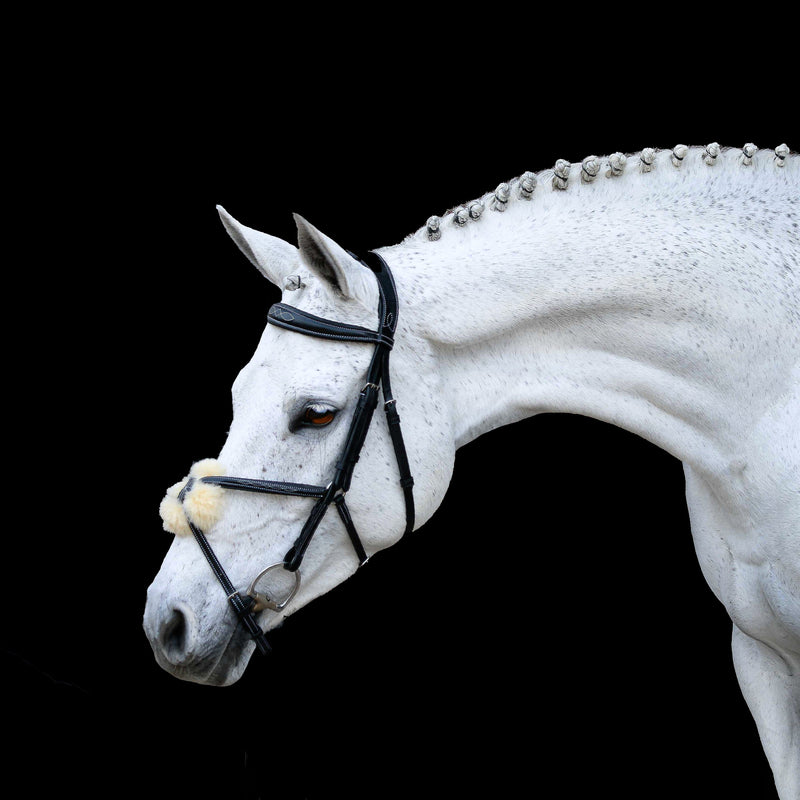 'Ava' Italian leather grackle bridle - black & brown - Lumiere Equestrian