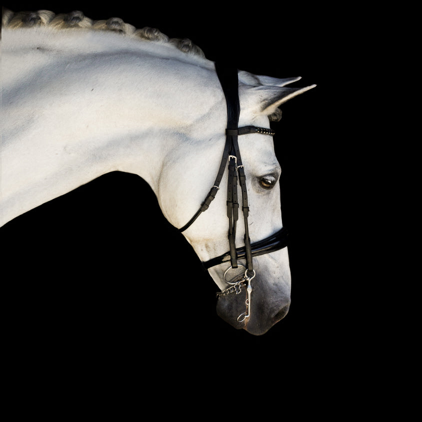 Audrey Black Italian Leather Double Bridle - Lumiere Canada