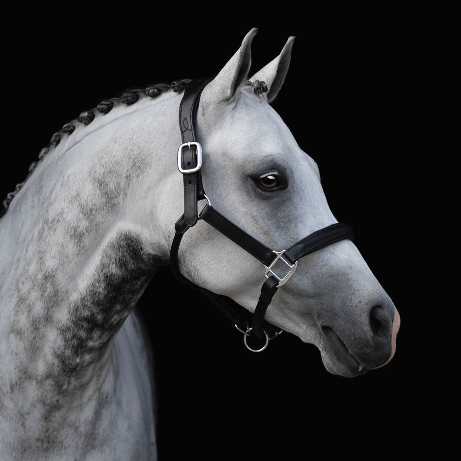 'Alize' leather halter - Lumiere Equestrian