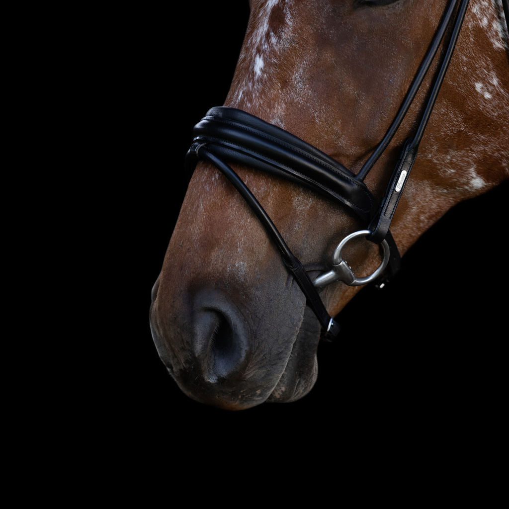 'Mercie' rolled classic bridle - Clearance - Lumiere Equestrian