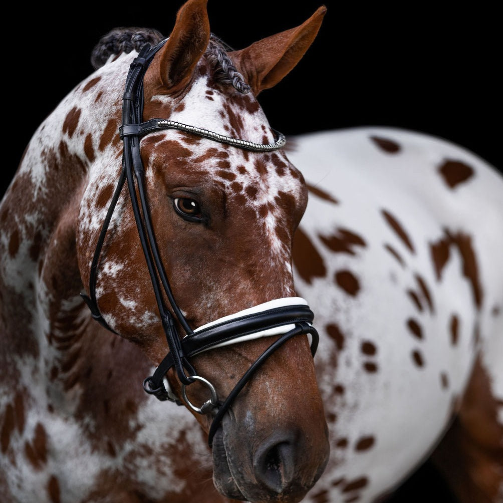 'Mercie' rolled white padded bridle - Lumiere Equestrian