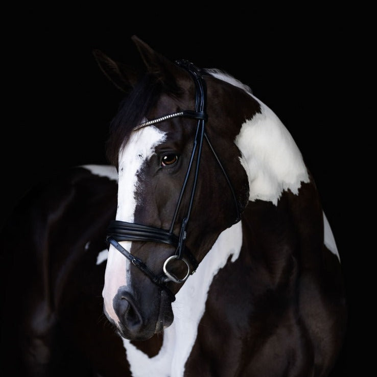 'Mercie' rolled classic bridle - Clearance - Lumiere Equestrian