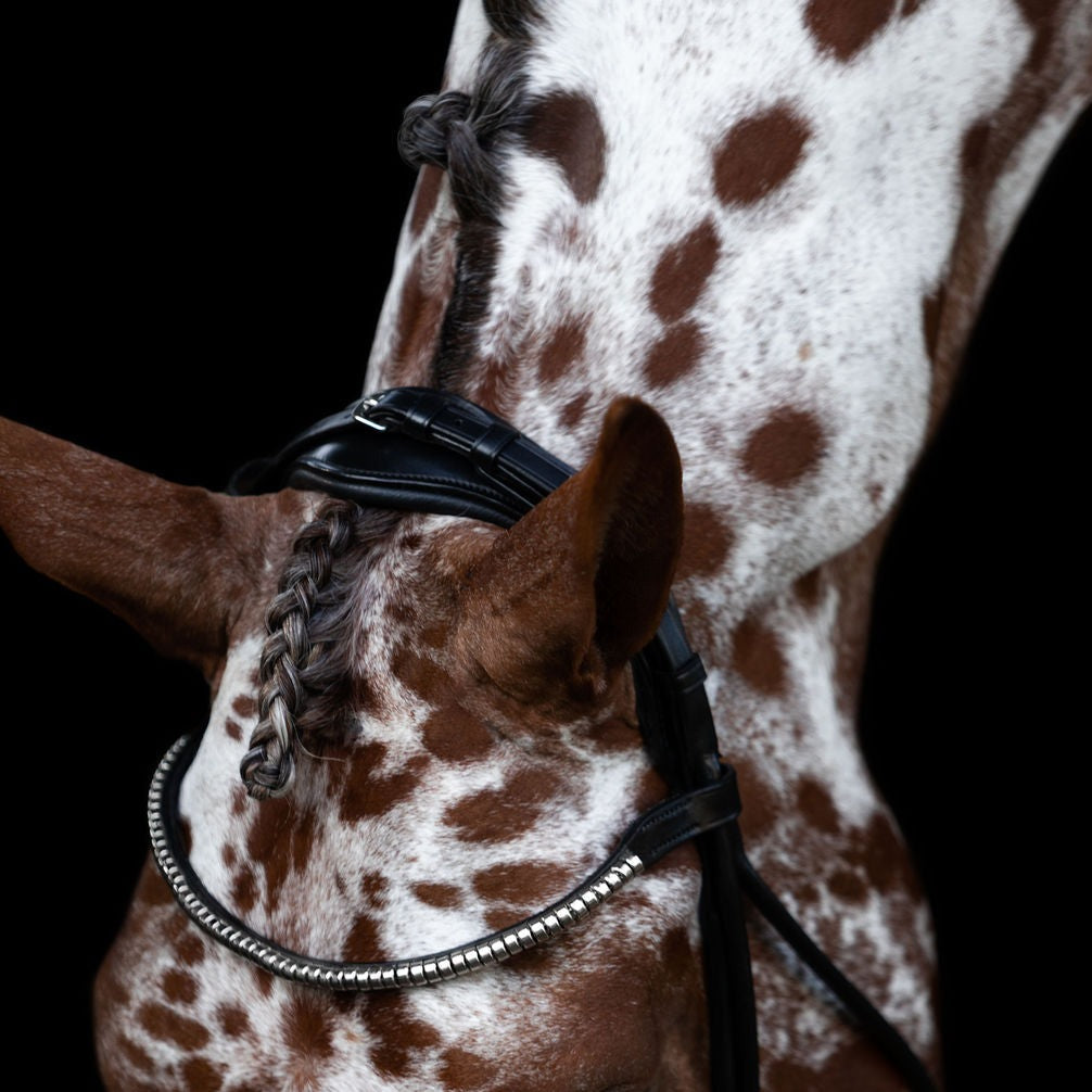 'Mercie' rolled white padded bridle - Lumiere Equestrian