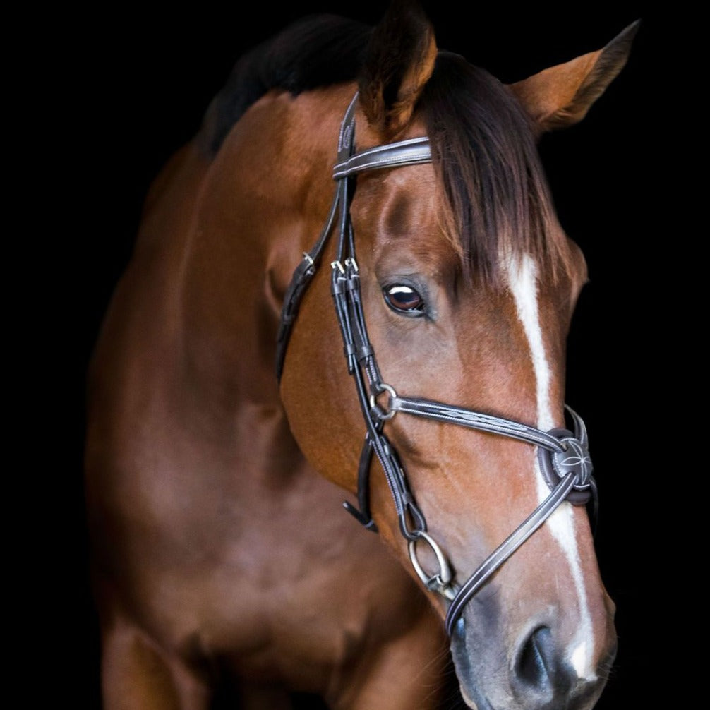 'Ava' Italian leather grackle bridle (no sheepskin) - black & brown - Lumiere Equestrian