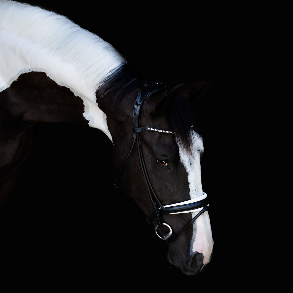 'Mercie' rolled white padded bridle - Lumiere Equestrian