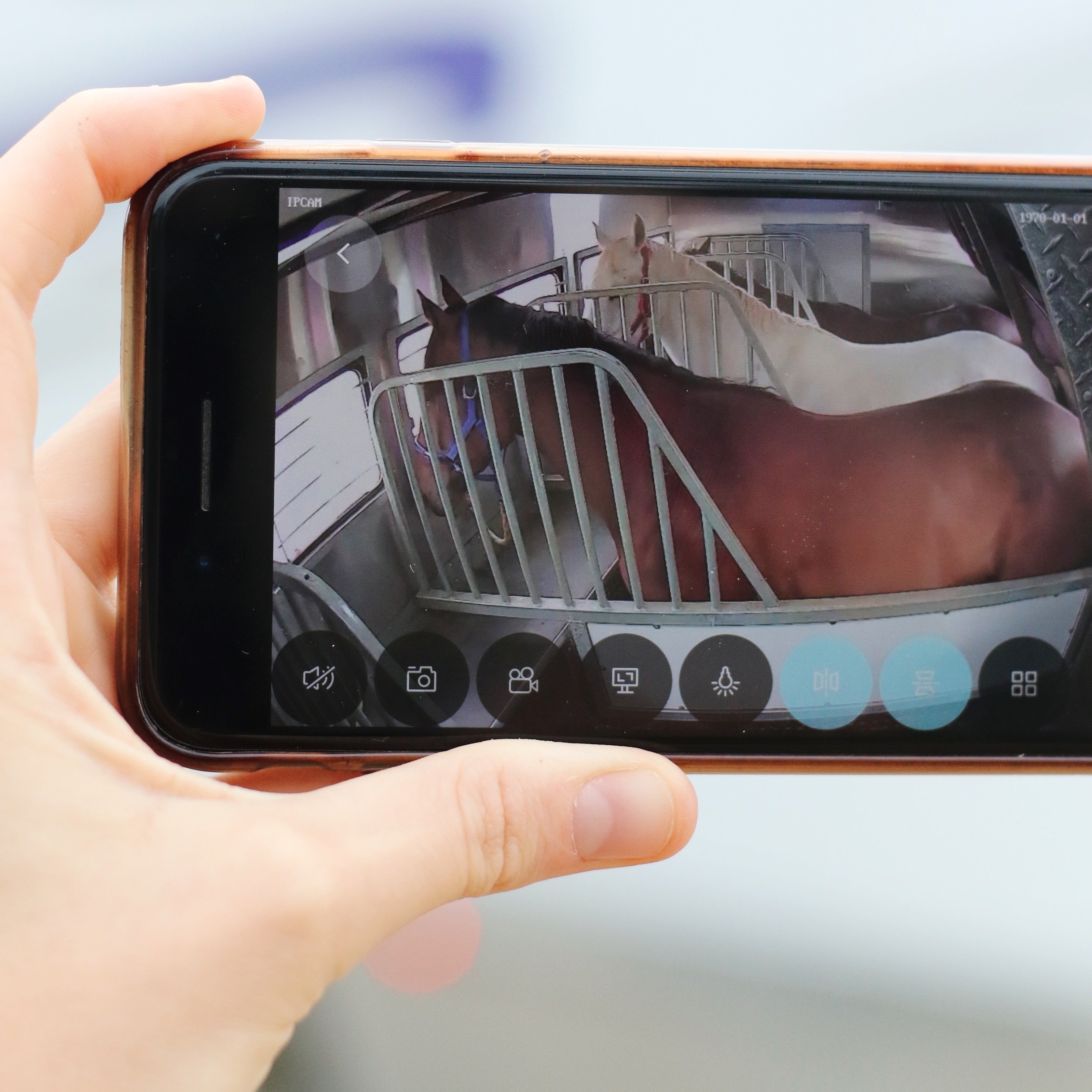 'Equine Eye' - wireless horse float camera - Lumiere Equestrian