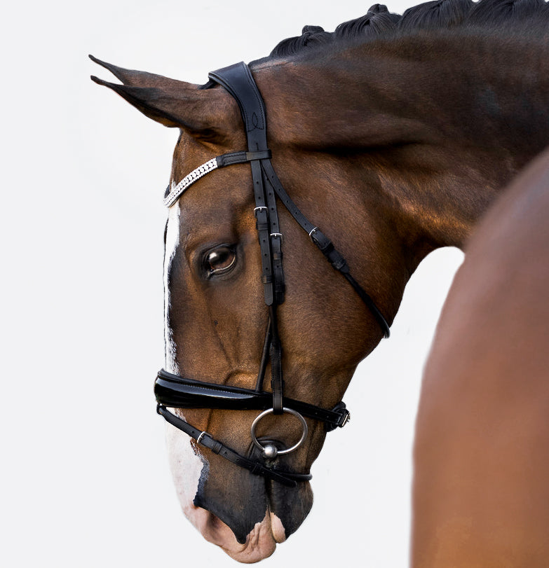 ‘Amie’ rolled bridle (hanoverian) - black - Lumiere Equestrian