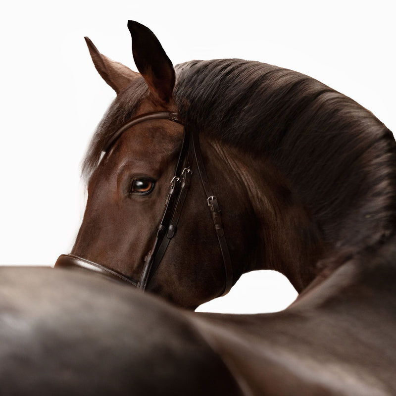 'Alina' Leather Bridle (Convertible)