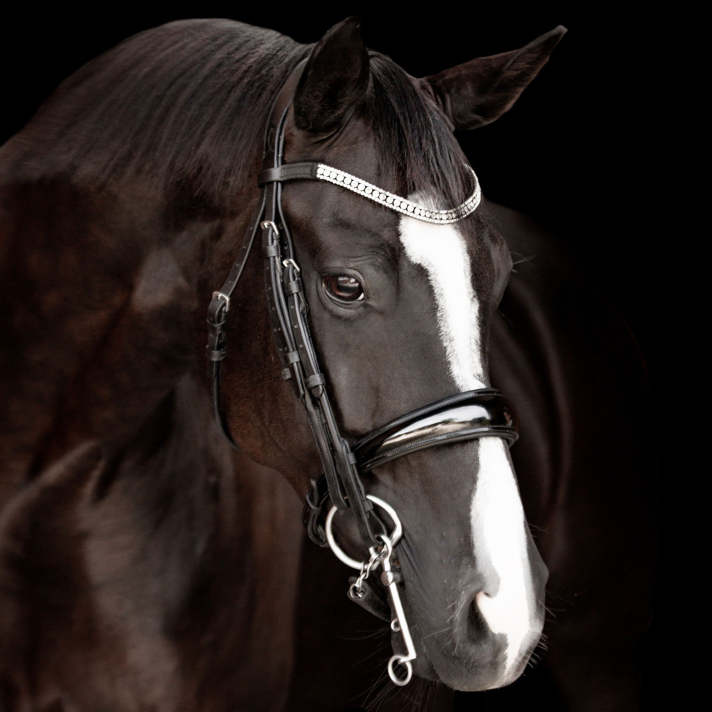 'Amie' luxury leather bridle - (double) - Lumiere Equestrian