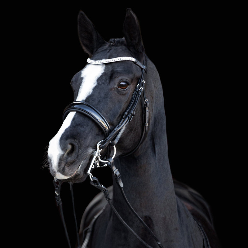 'Amie' rolled Italian leather bridle - (double) - Lumiere Equestrian